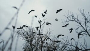 This Too Shall Pass Hope for the Depressed Heart